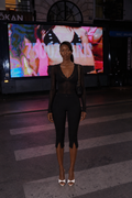 Sheer Long-sleeve Top